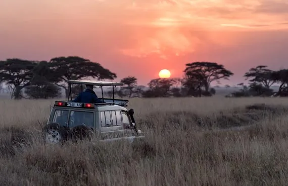Couché de soleil dans un safari en Afrique du sud