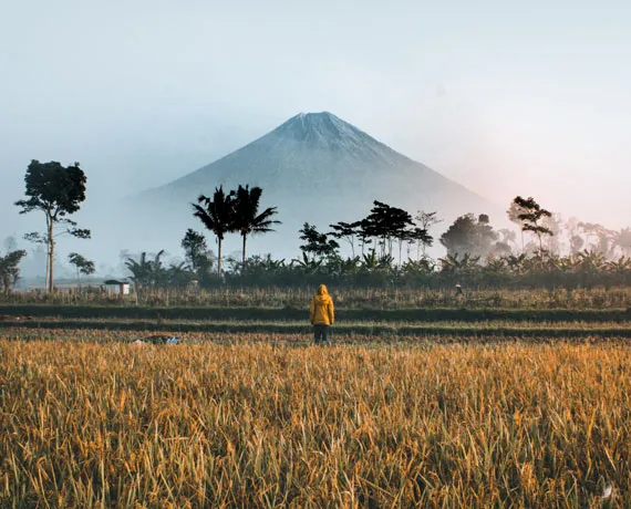 Personne avec un manteau jaune se tenant devant une foret sur fond de volcan en Indonésie