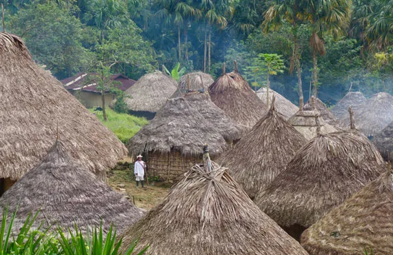 Maisons en paille dans un village dans la forêt en Colombie