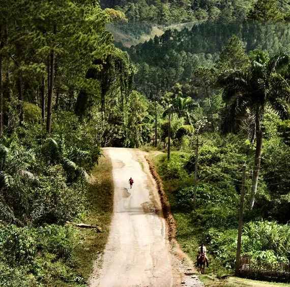 Personne marchant sur une route dans la forêt à Cuba
