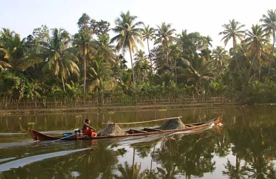 Pirogue sur un fleuve bordé de palmiers en Inde du sud