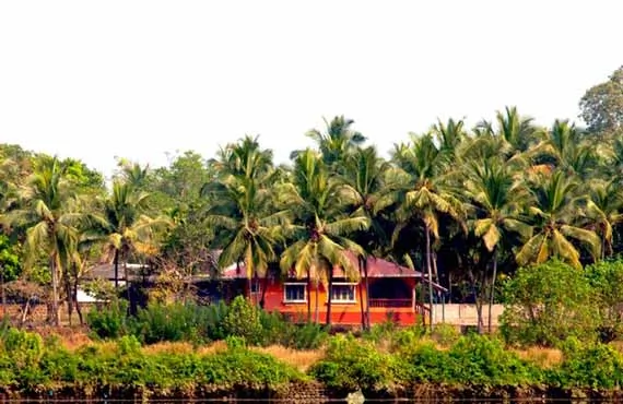 Maisonnette en bois orange au milieu des palmiers au bord d'un fleuve en Inde du sud