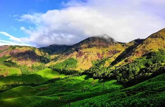 Collines herbeuses vertes sur fond de ciel bleu en Inde du sud